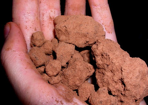 Cacao paste