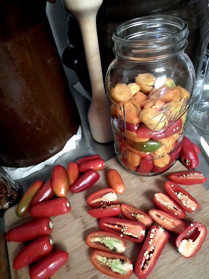 Fermenting Hot Peppers