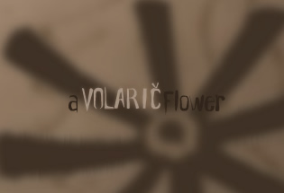 A Volaric Flower